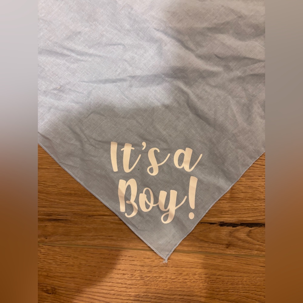 Blue it’s a boy dog bandana